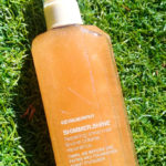 Shimmer Shine Kevin.Murphy